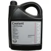 KE90299945 NISSAN Coolant l248 premix