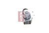 Превью - 185025N AKS DASIS Клапан возврата ОГ (фото 11)