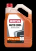 111058 MOTUL Антифриз