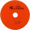 340300 TRIO-DIAMOND Алмазный гибкий шлифовальный круг d 100 P300