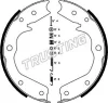 Превью - 073.173K TRUSTING Комплект тормозных колодок, стояночная тормозная система (фото 2)