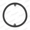 Превью - KK5686 PAYEN Уплотняющее кольцо, масляный радиатор (фото 2)
