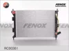 RC00361 FENOX Теплообменник