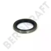 BK9001166 BERGKRAFT Уплотнительное кольцо
