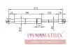 DGS012553 DYNAMAX Амортизатор багажника