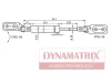 DGS768389 DYNAMAX Амортизатор багажника