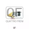 Превью - QF00T01635 QUATTRO FRENI Датчик (фото 2)