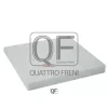 QF20Q00015 QUATTRO FRENI Фильтр