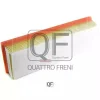 QF36A00196 QUATTRO FRENI Фильтр