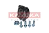 Превью - 5500187 KAMOKA Комплект подшипника ступицы колеса (фото 2)