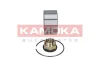 Превью - 5600017 KAMOKA Комплект подшипника ступицы колеса (фото 2)