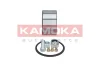Превью - 5600071 KAMOKA Комплект подшипника ступицы колеса (фото 2)