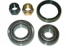 WBK-4508 KAVO PARTS Комплект подшипника ступицы колеса