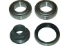 WBK-5507 KAVO PARTS Комплект подшипника ступицы колеса