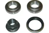 WBK-5511 KAVO PARTS Комплект подшипника ступицы колеса