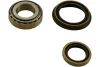 WBK-6547 KAVO PARTS Комплект подшипника ступицы колеса