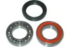 WBK-8504 KAVO PARTS Комплект подшипника ступицы колеса