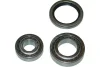 WBK-9015 KAVO PARTS Комплект подшипника ступицы колеса