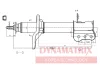 DSA634046 DYNAMATRIX Амортизатор
