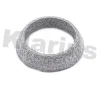 Превью - 410145 KLARIUS Уплотнительное кольцо, труба выхлопного газа (фото 2)