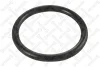 89-01069-SX STELLOX Уплотнительное кольцо
