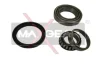 33-0393 MAXGEAR Комплект подшипника ступицы колеса