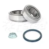 WK00114 Fersa Bearings Комплект подшипника ступицы колеса