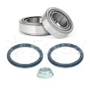 WK00122 Fersa Bearings Комплект подшипника ступицы колеса