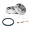 WK00152 Fersa Bearings Комплект подшипника ступицы колеса