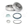 WK00153 Fersa Bearings Комплект подшипника ступицы колеса