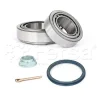 WK00175 Fersa Bearings Комплект подшипника ступицы колеса