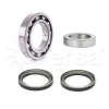 WK00484 Fersa Bearings Комплект подшипника ступицы колеса