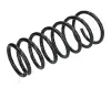 ZCA1094A ASHIKA Пружина ходовой части