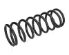 ZCA1145A ASHIKA Пружина ходовой части