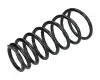 ZCA6177I ASHIKA Пружина ходовой части