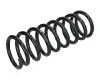 ZCA7078A ASHIKA Пружина ходовой части