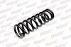 ST 120 003 R STANDARD SPRINGS Пружина ходовой части