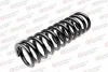 ST 120 011 R STANDARD SPRINGS Пружина ходовой части