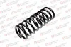 ST 120 016 R STANDARD SPRINGS Пружина ходовой части