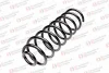 ST 127 024 R STANDARD SPRINGS Пружина ходовой части