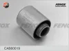 Превью - CAB60019 FENOX Подвеска, рычаг независимой подвески колеса (фото 3)