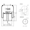562.606 CEI Кожух пневматической рессоры