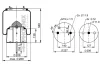 1 DF 20 A-2 PHOENIX Кожух пневматической рессоры