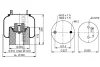 1 DK 21 A-31 PHOENIX Кожух пневматической рессоры