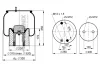 1 DK 22 D-1 PHOENIX Кожух пневматической рессоры