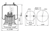 1 DK 23 L-9131 PHOENIX Кожух пневматической рессоры