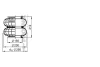2 B 12 R-3 PHOENIX Кожух пневматической рессоры