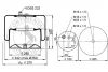 Превью - 4183 N P28 CONTITECH AIR SPRING Кожух пневматической рессоры (фото 2)