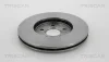 Превью - 8120 101031 TRISCAN Тормозной диск (фото 2)