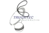 07.12.053 TRUCKTEC AUTOMOTIVE Зубчатый ремень